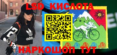 прущие грибы Аргун