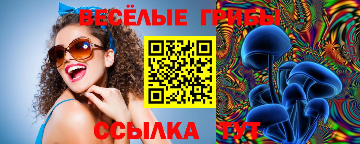 Галлюциногенные грибы Psilocybe Балахна