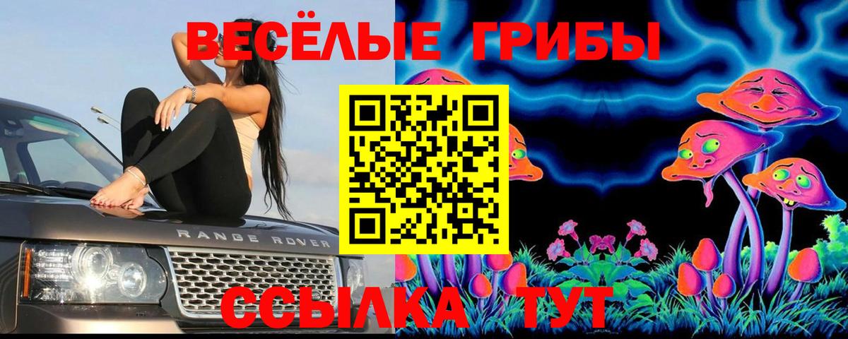 Псилоцибиновые грибы GOLDEN TEACHER  Вход с VPN  Балахна 
